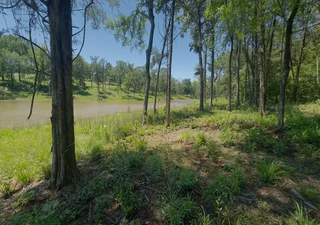 Homes for sale in Jewett, TX | Lot 9 County Road 494, Jewett, TX 75846 | MLS# 90214702