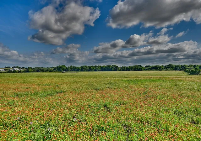 Homes for sale in Burton, TX | 60 Acres Mcnelly Lane, Burton, TX 77835 | MLS# 75087555