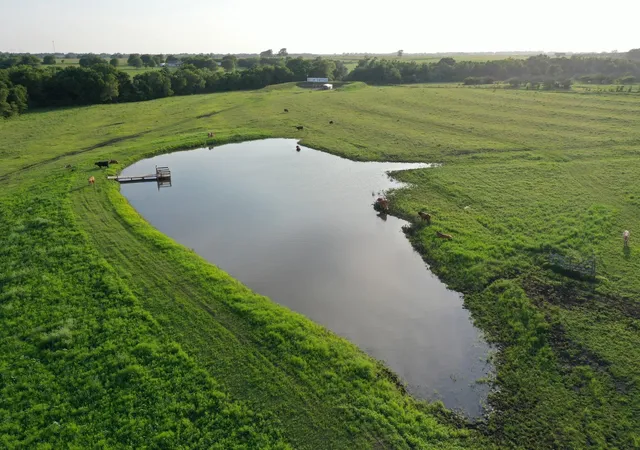 Homes for sale in Burton, TX | 60 Acres Mcnelly Lane, Burton, TX 77835 | MLS# 75087555