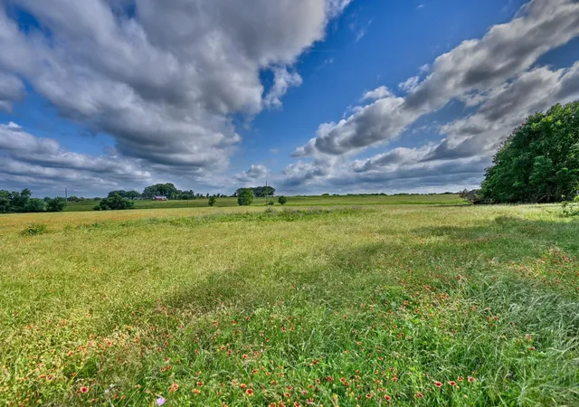 Homes for sale in Burton, TX | 60 Acres Mcnelly Lane, Burton, TX 77835 | MLS# 75087555