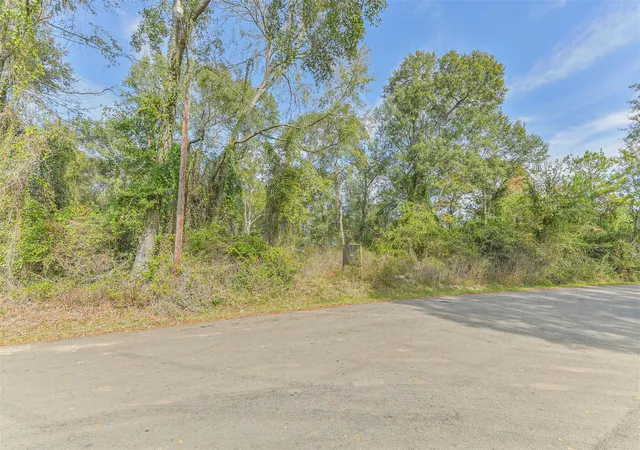 Photo 3 of Land for sale at 0 Adkins St, Conroe, TX 77301 | MLS# 17306851 | Listing updated on 2026-07-20