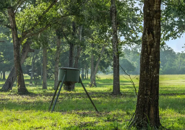 Photo 3 of Land for sale at 16204 Newberg Rd, Cat Spring, TX 78933 | MLS# 25663031 | Listing updated on 2026-07-28