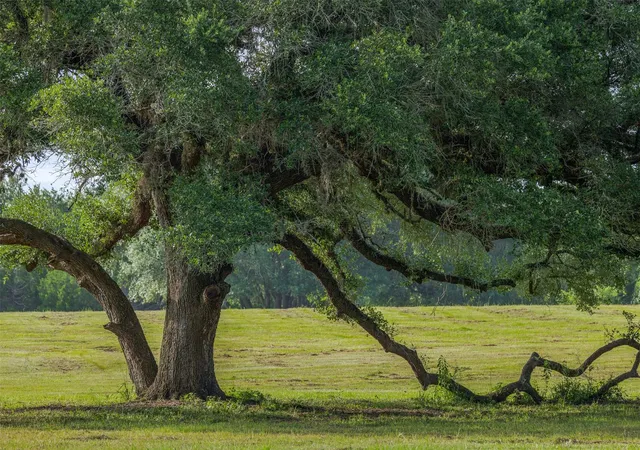 Photo 4 of Land for sale at 16204 Newberg Rd, Cat Spring, TX 78933 | MLS# 25663031 | Listing updated on 2026-07-28