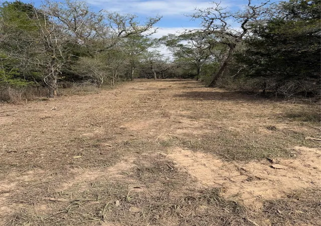 Homes for sale in Hallettsville, TX | Tbd Private Road 1581, Hallettsville, TX 77964 | MLS# 91880045