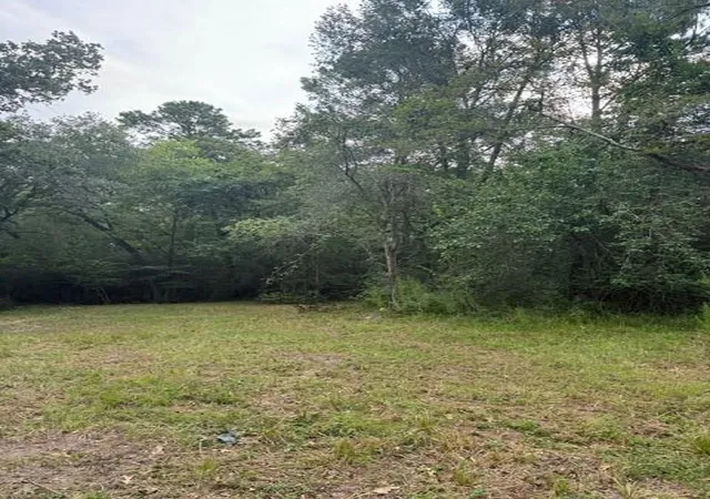 4th image of 25571 Kimbro Rd, Hockley, TX 77447 | MLS# 96456865