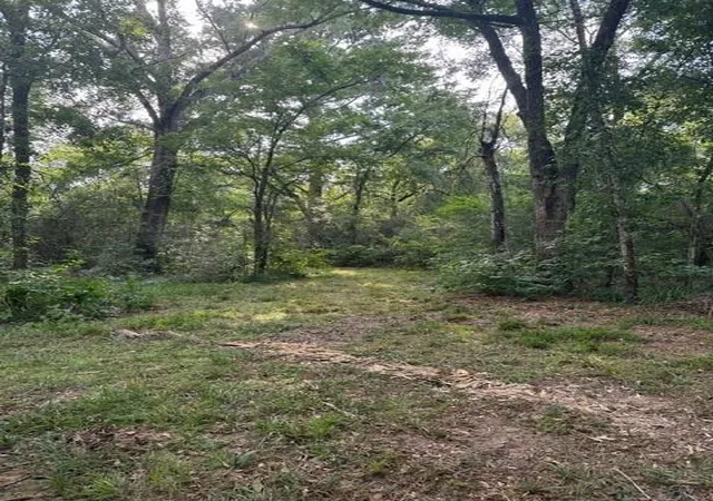 5th image of 25571 Kimbro Rd, Hockley, TX 77447 | MLS# 96456865