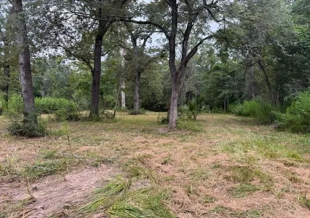 6th image of 25571 Kimbro Rd, Hockley, TX 77447 | MLS# 96456865