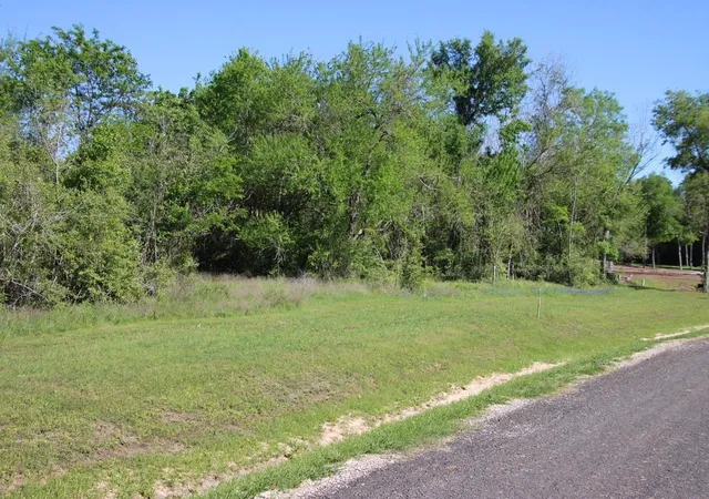 2nd image of 0 Wooded Reserve Ct, Washington, TX 77880 | MLS# 38567395