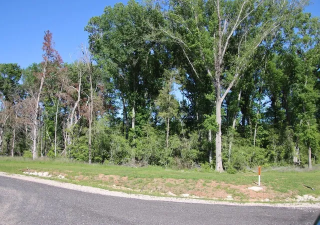 4th image of 0 Wooded Reserve Ct, Washington, TX 77880 | MLS# 38567395