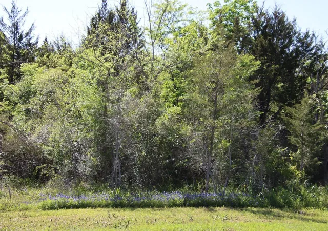 5th image of 0 Wooded Reserve Ct, Washington, TX 77880 | MLS# 38567395