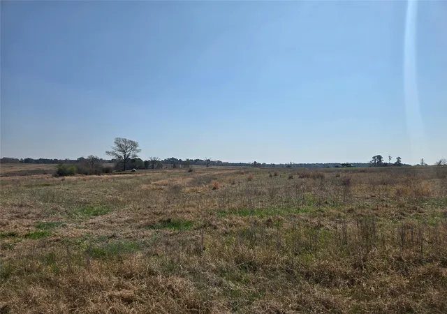 Photo 3 of Land for sale at Tbd Northview Trl, Crockett, TX 75835 | MLS# 64686608 | Listing updated on 2026-09-23
