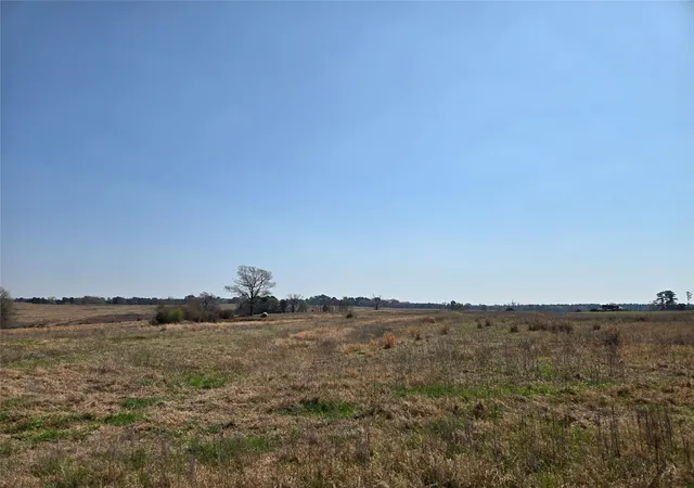 Photo 3 of Land for sale at Tbd Northview Trl, Crockett, TX 75835 | MLS# 64686608 | Listing updated on 2026-09-23