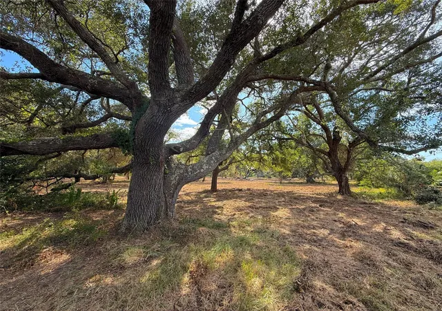 Photo 1 of Sale Pending at Lot 1 S F Austin, Freeport, TX 77541 | MLS# 4416229 | Listing updated on 2026-09-19