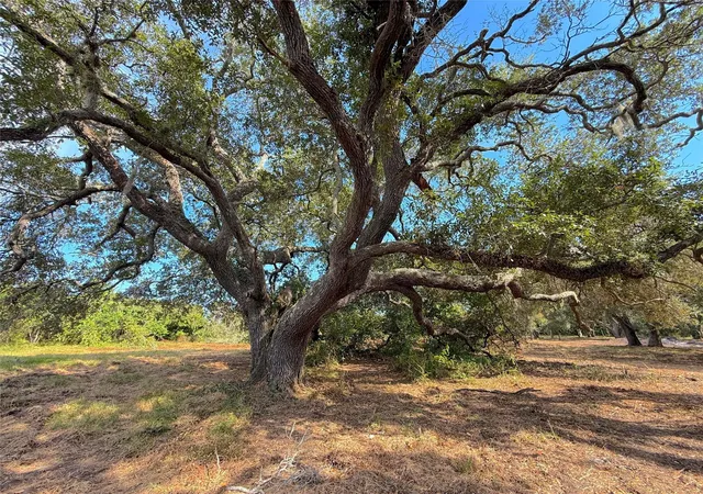 Photo 2 of Sale Pending at Lot 1 S F Austin, Freeport, TX 77541 | MLS# 4416229 | Listing updated on 2026-09-19
