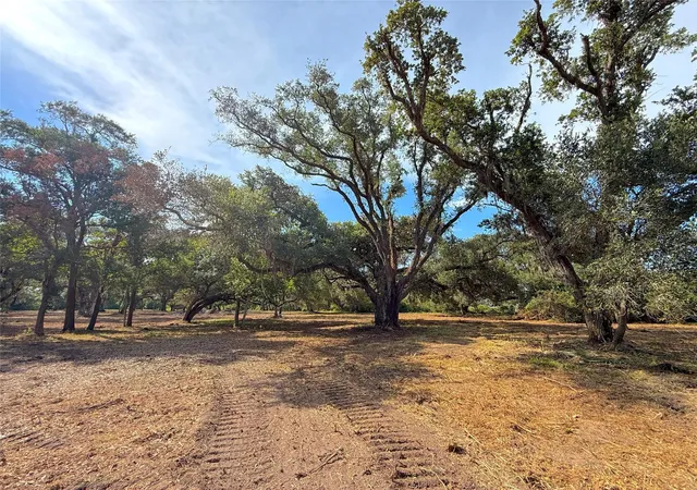 Photo 3 of Sale Pending at Lot 1 S F Austin, Freeport, TX 77541 | MLS# 4416229 | Listing updated on 2026-09-19