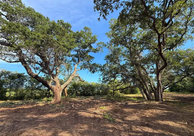 Photo 3 of Sale Pending at Lot 1 S F Austin, Freeport, TX 77541 | MLS# 4416229 | Listing updated on 2026-09-19