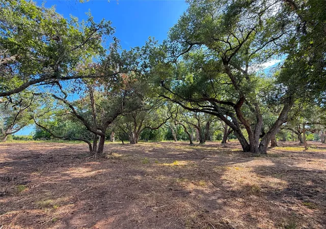 Photo 4 of Sale Pending at Lot 1 S F Austin, Freeport, TX 77541 | MLS# 4416229 | Listing updated on 2026-09-19