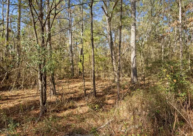 Photo 12 of Land for sale at 13681 Cr 201 Loop Ln, Plantersville, TX 77363 | MLS# 89768037 | Listing updated on 2026-08-20