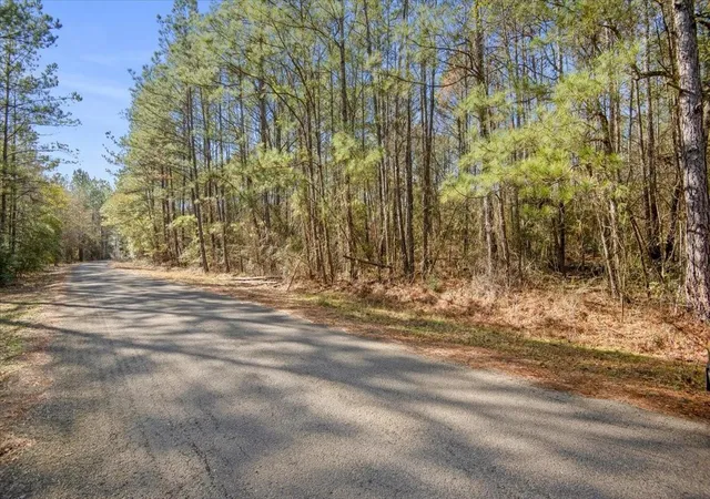 Photo 1 of Land for sale at 13681 Cr 201 Loop Ln, Plantersville, TX 77363 | MLS# 89768037 | Listing updated on 2026-08-20