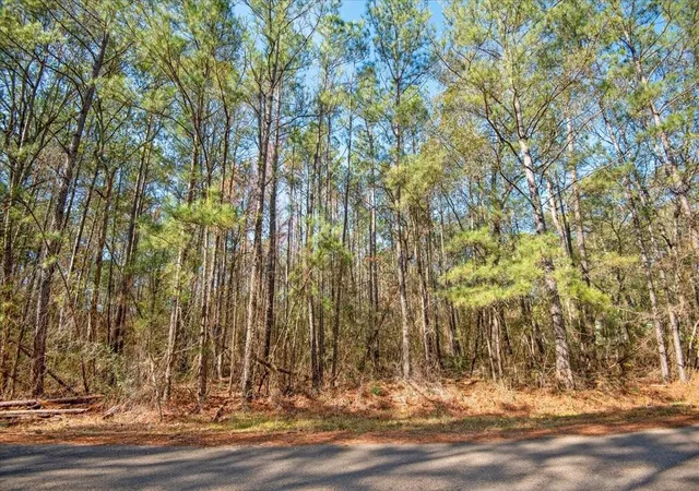 Photo 3 of Land for sale at 13681 Cr 201 Loop Ln, Plantersville, TX 77363 | MLS# 89768037 | Listing updated on 2026-08-20