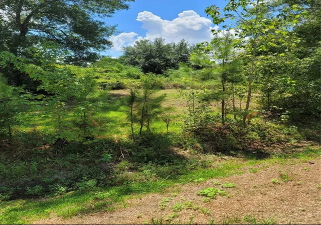25th image of 49 Robert E Lee Dr, Conroe, TX 77302 | MLS# 93984547