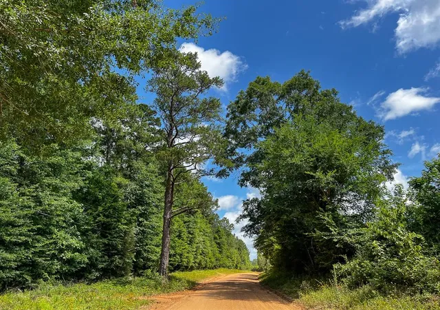 Photo 1 of Land for sale at 0000000 Kelley Road, Livingston, TX 77351 | MLS# 50799784 | Listing updated on 2026-01-20
