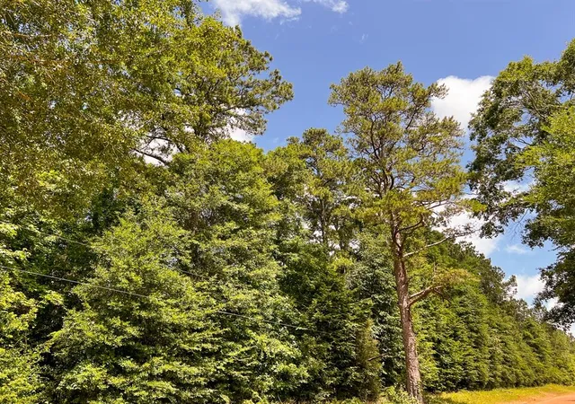 Photo 3 of Land for sale at 0000000 Kelley Road, Livingston, TX 77351 | MLS# 50799784 | Listing updated on 2026-01-20