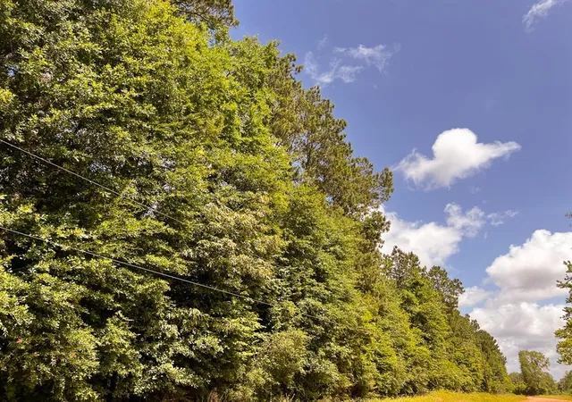 Photo 4 of Land for sale at 0000000 Kelley Road, Livingston, TX 77351 | MLS# 50799784 | Listing updated on 2026-01-20