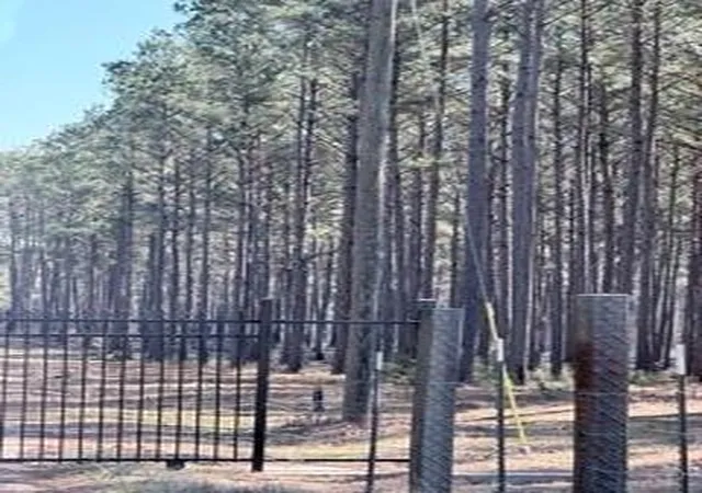 3rd image of 2878 Fm 256 N, Woodville, TX 75979 | MLS# 56850690