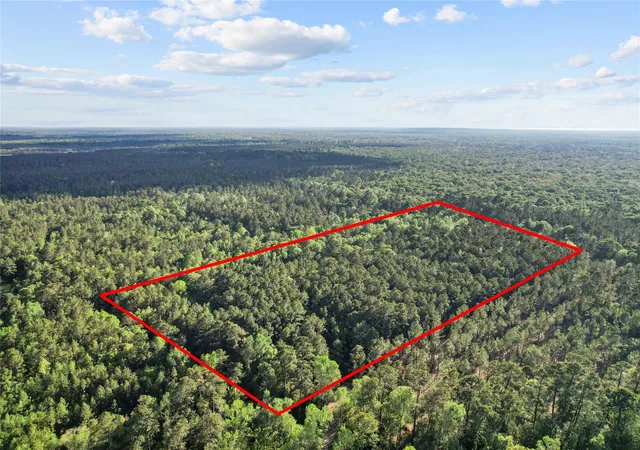 Photo 2 of Land for sale at 0 County Rd 2116, Cleveland, TX 77327 | MLS# 16531316 | Listing updated on 2026-04-08