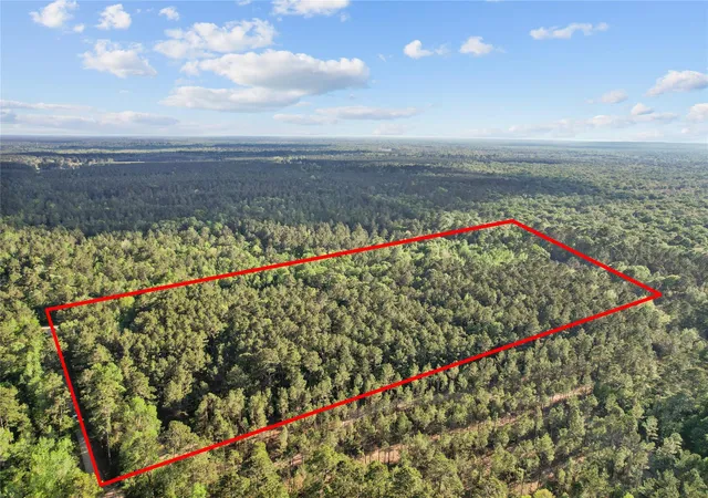 Photo 3 of Land for sale at 0 County Rd 2116, Cleveland, TX 77327 | MLS# 16531316 | Listing updated on 2026-04-08