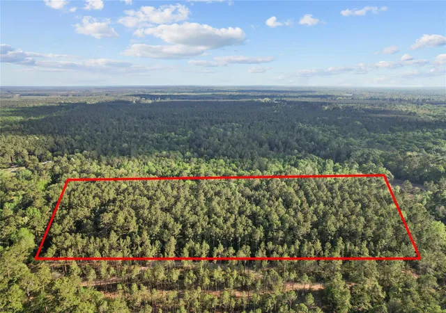 Photo 3 of Land for sale at 0 County Rd 2116, Cleveland, TX 77327 | MLS# 16531316 | Listing updated on 2026-04-08