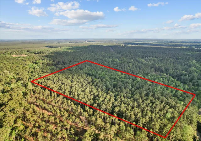 Photo 4 of Land for sale at 0 County Rd 2116, Cleveland, TX 77327 | MLS# 16531316 | Listing updated on 2026-04-08