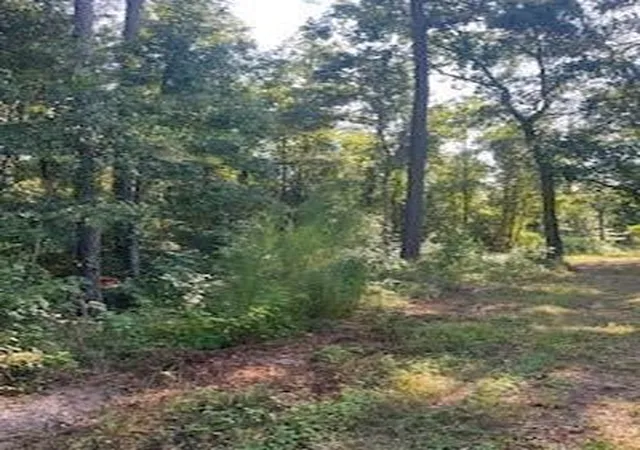 Photo 1 of Land for sale at 4607 Woodpeckers Grv, Cleveland, TX 77328 | MLS# 93767247 | Listing updated on 2026-07-08