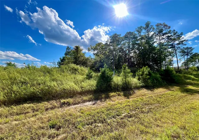Photo 1 of Land for sale at 164 Rd 5263b, Cleveland, TX 77327 | MLS# 77942682 | Listing updated on 2026-08-28