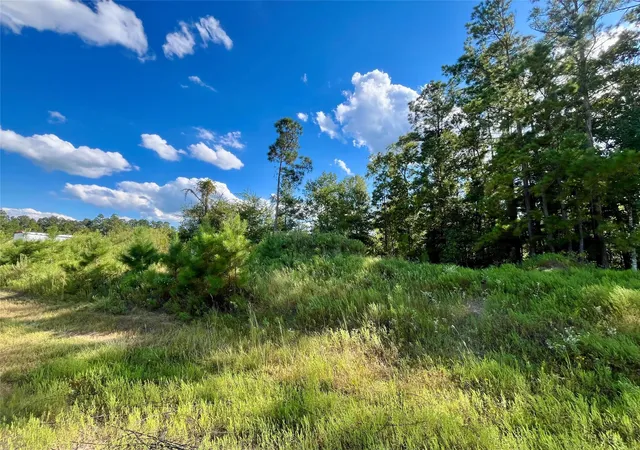 Photo 2 of Land for sale at 164 Rd 5263b, Cleveland, TX 77327 | MLS# 77942682 | Listing updated on 2026-08-28