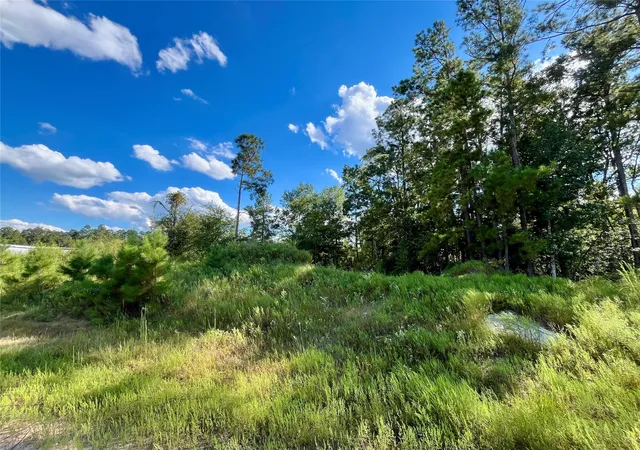 Photo 3 of Land for sale at 164 Rd 5263b, Cleveland, TX 77327 | MLS# 77942682 | Listing updated on 2026-08-28
