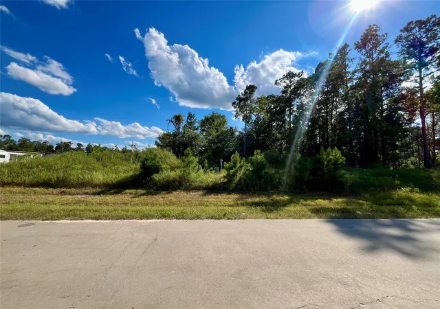 Photo 3 of Land for sale at 164 Rd 5263b, Cleveland, TX 77327 | MLS# 77942682 | Listing updated on 2026-08-28