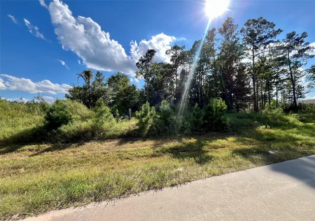 Photo 4 of Land for sale at 164 Rd 5263b, Cleveland, TX 77327 | MLS# 77942682 | Listing updated on 2026-08-28
