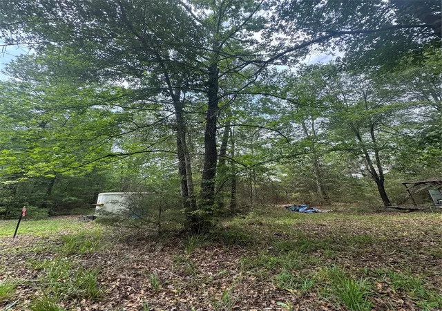 Homes for sale in Huntsville, TX | Tba Possum Walk Ln, Huntsville, TX 77358 | MLS# 8879289