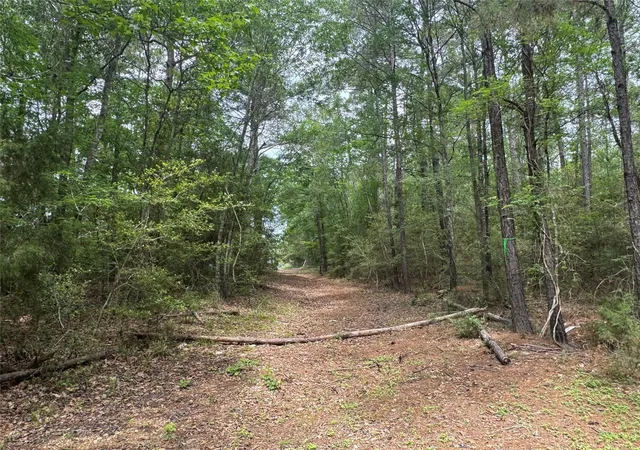 Homes for sale in Huntsville, TX | Tba Possum Walk Ln, Huntsville, TX 77358 | MLS# 8879289