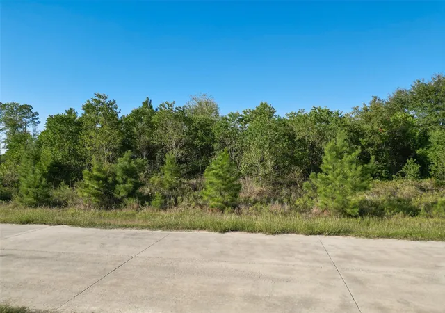 Photo 3 of Land for sale at 1180 County Rd 5023, Cleveland, TX 77327 | MLS# 43587387 | Listing updated on 2026-07-07