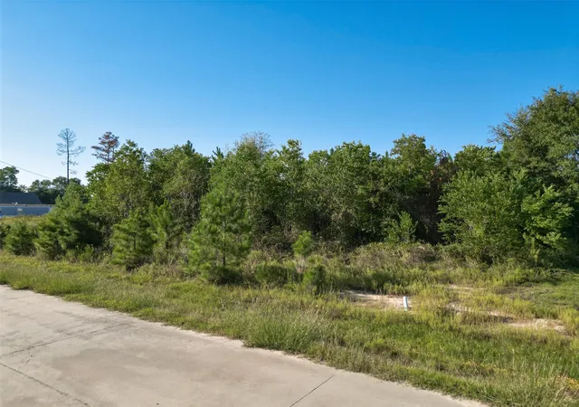 Photo 3 of Land for sale at 1180 County Rd 5023, Cleveland, TX 77327 | MLS# 43587387 | Listing updated on 2026-07-07
