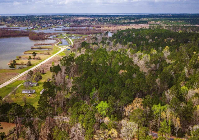 4th image of 160 Triple Creek Dr, Livingston, TX 77351 | MLS# 57047619