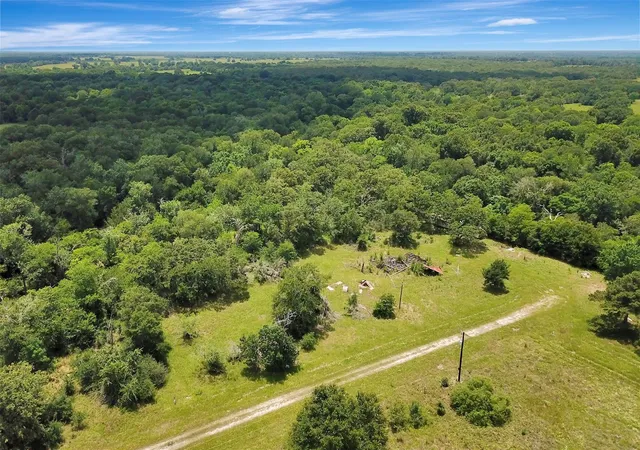 Homes for sale in Bedias, TX | 1719 Stone St, Bedias, TX 77831 | MLS# 40255059