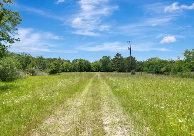 Homes for sale in Bedias, TX | 1719 Stone St, Bedias, TX 77831 | MLS# 40255059