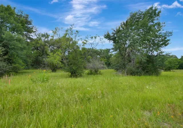 Homes for sale in Bedias, TX | 1719 Stone St, Bedias, TX 77831 | MLS# 40255059