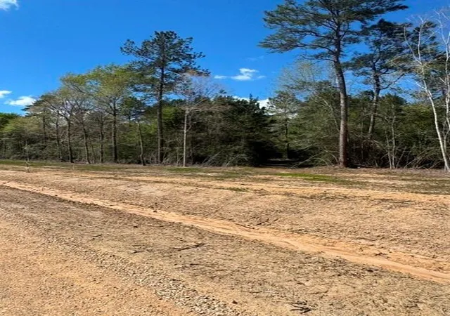 3rd image of Tbd Lot 1 Horace Bonds Rd, Livingston, TX 77351 | MLS# 56132147