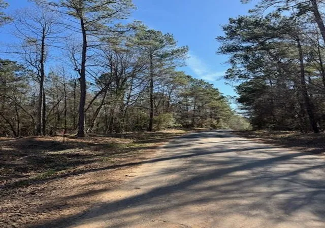 8th image of Tbd Lot 1 Horace Bonds Rd, Livingston, TX 77351 | MLS# 56132147