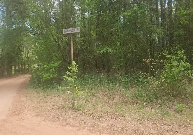 Homes for sale in Plantersville, TX | Lot 1 Thornwood Dr, Plantersville, TX 77363 | MLS# 70332036